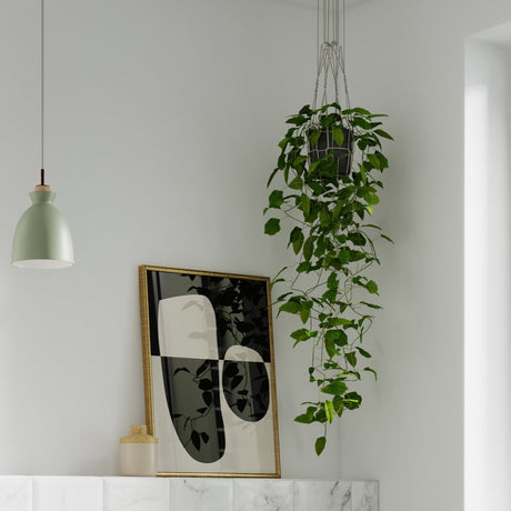 10 Bathroom Plant Ideas