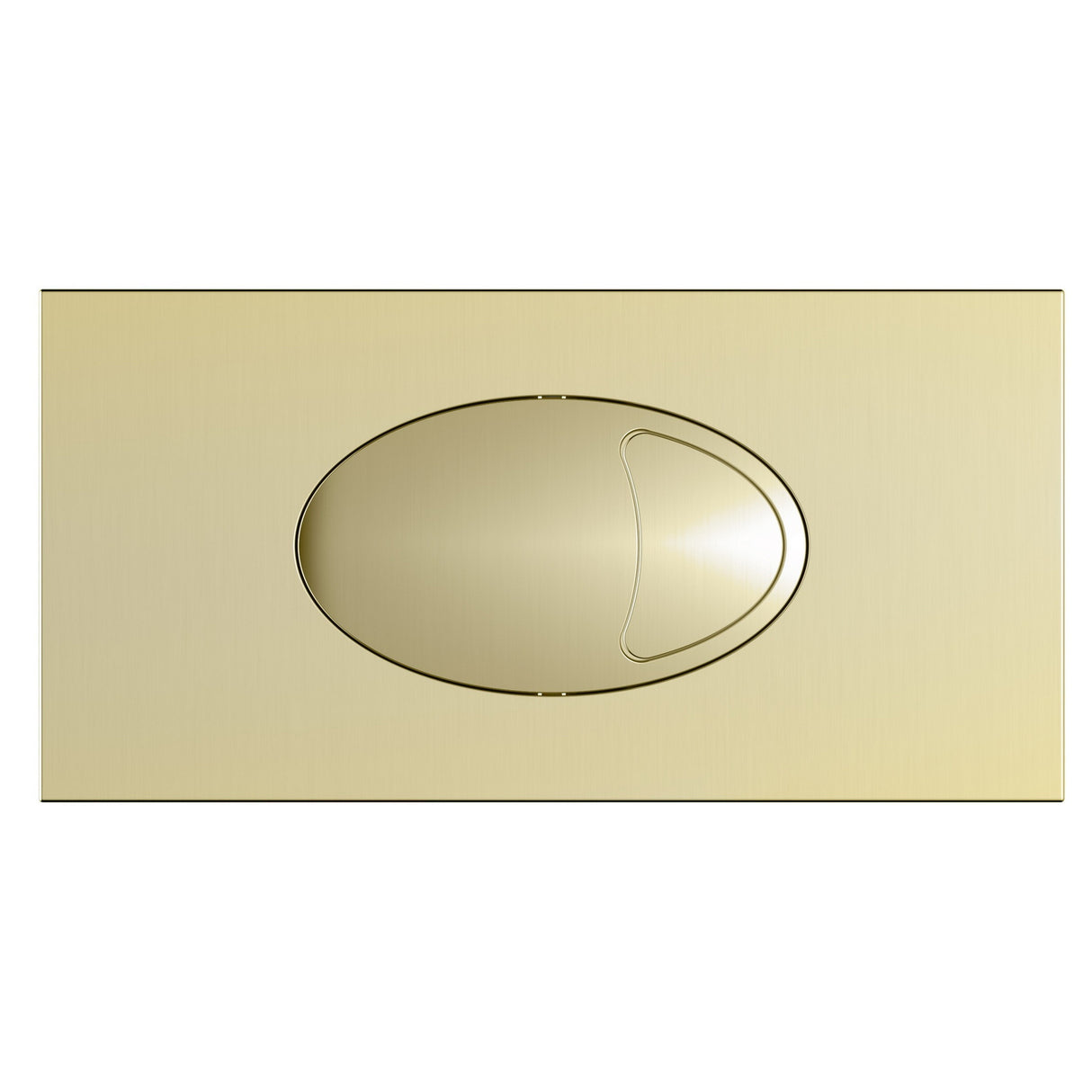 Large Rectangular Dual Flush Plates