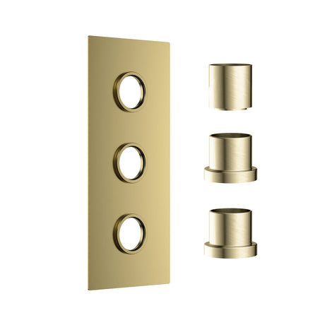 Scudo Concealed Three Outlet Shower Valve with Brushed Brass Plate