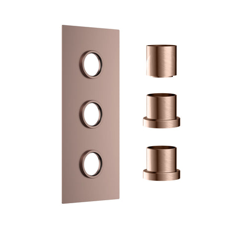 Scudo Concealed Three Outlet Shower Valve with Brushed Bronze Plate