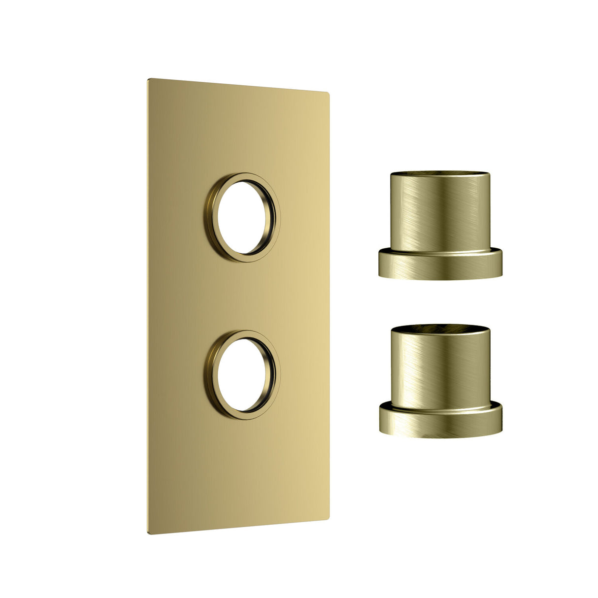 Scudo Concealed Two Outlet Shower Valve with Brushed Brass Plate