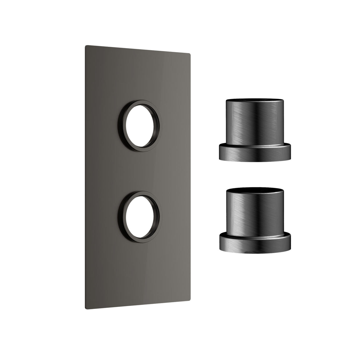 Scudo Concealed Two Outlet Shower Valve with Gunmetal Plate