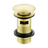 Ajax Slotted Mushroom Click Clack Basin Wastes Brushed brass