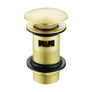 Ajax Slotted Mushroom Click Clack Basin Wastes Brushed brass