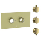 Cudore Concealed One Outlet Shower Valve with Horizontal Brushed Brass Plate