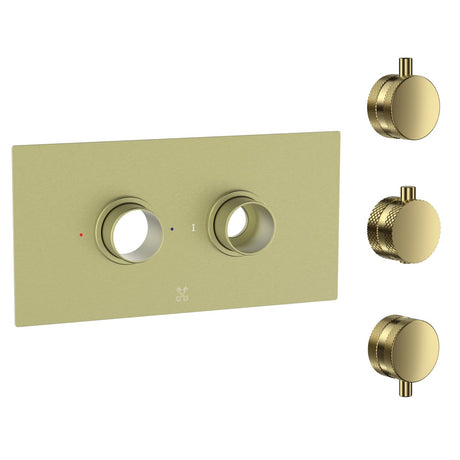 Cudore Concealed One Outlet Shower Valve with Horizontal Brushed Brass Plate