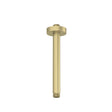 Brushed Brass Round Ceiling Mounted Shower Arm