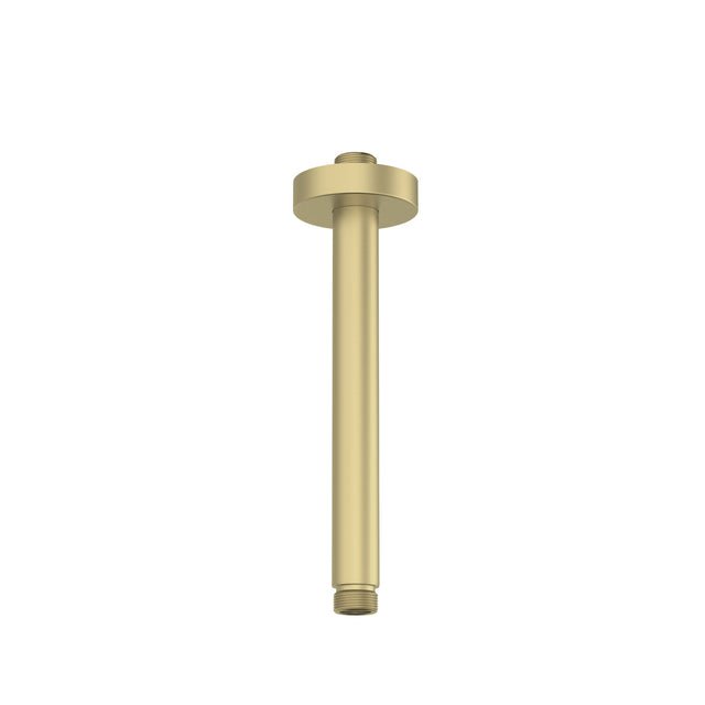 Brushed Brass Round Ceiling Mounted Shower Arm