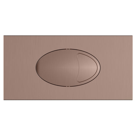 Large Rectangular Dual Flush Plates