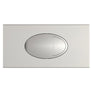 Large Rectangular Dual Flush Plates
