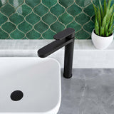 Calvarra Brindle High Rise Mono Basin Mixer in Matt Black lifestyle