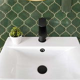 Calvarra Brindle Mono Basin Mixer With Push Button Waste in Matt Black lifestyle 2
