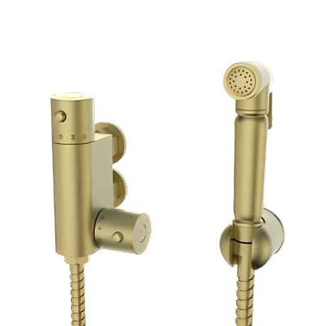 Kartell Round Douche Kit with Thermostatic Mixing Valve in Brushed Brass
