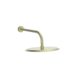 Round 300mm Shower Head and Arm in Brushed Brass