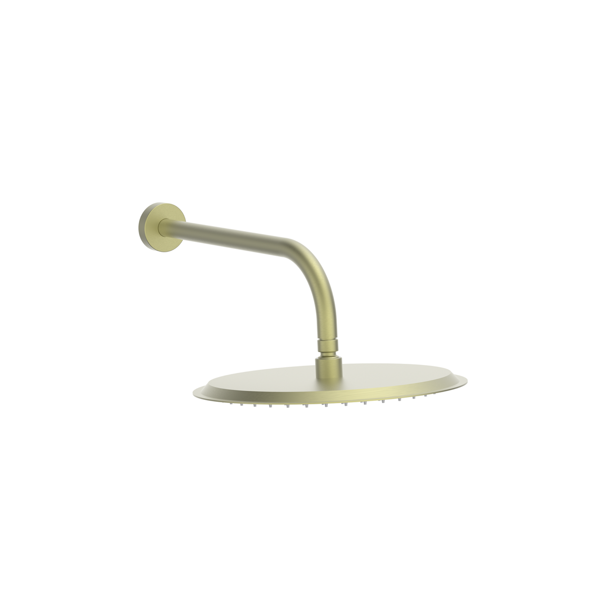 Round 300mm Shower Head and Arm in Brushed Brass