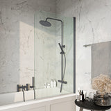 S6 Radius Edge 6mm Bath Screen in Gunmetal