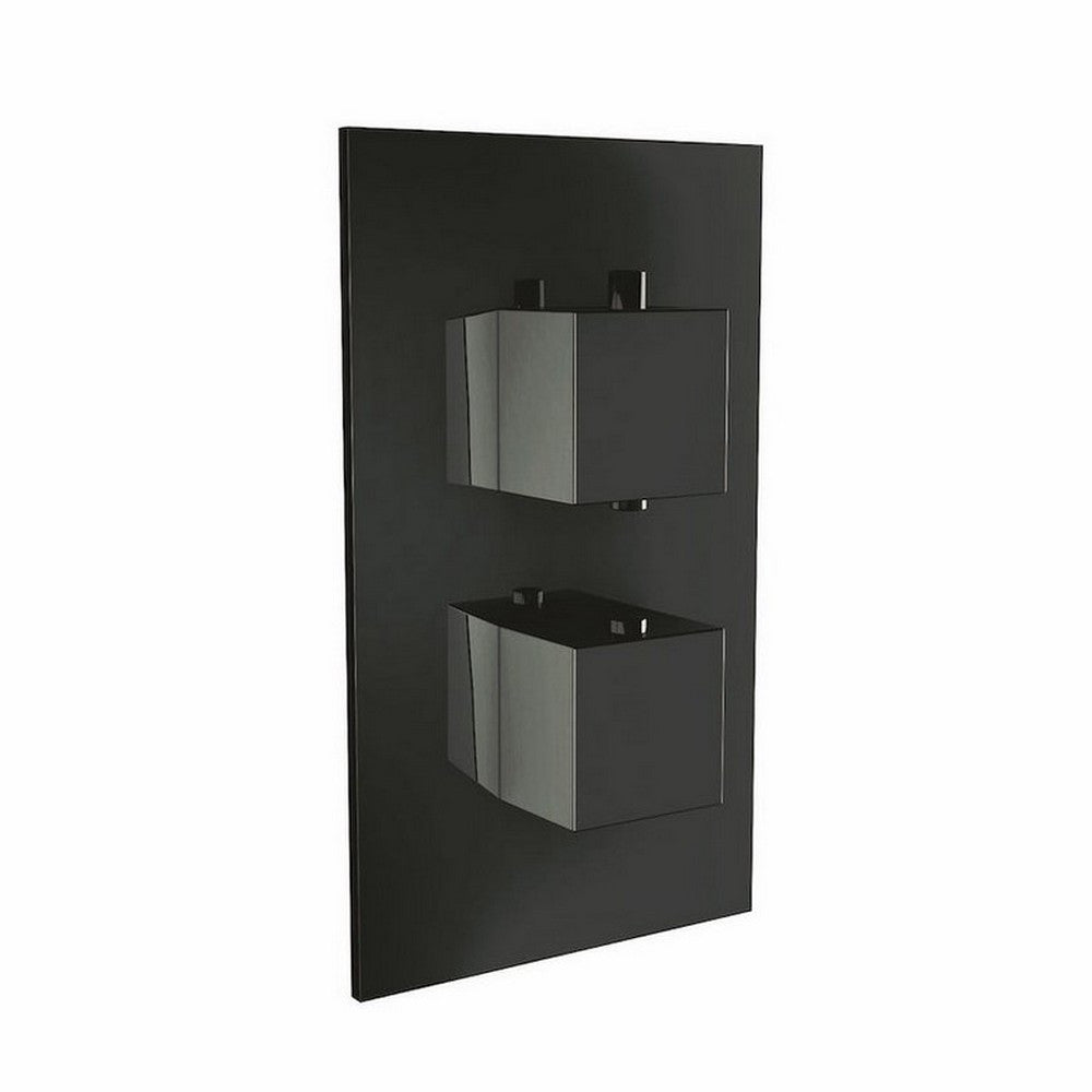 Scudo Black Dual Squared Handle Concealed Shower Valve