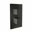 Scudo Black Dual Squared Handle Concealed Shower Valve