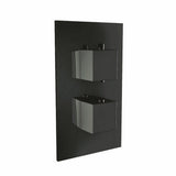 Scudo Black Dual Squared Handle Concealed Shower Valve