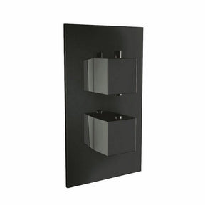 Scudo Black Dual Squared Handle Concealed Shower Valve