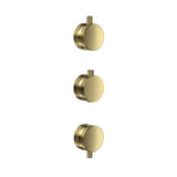 Scudo Concealed One Outlet Shower Valve with Brushed Brass Plate knurled handles