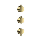 Scudo Concealed One Outlet Shower Valve with Brushed Brass Plate plain handles