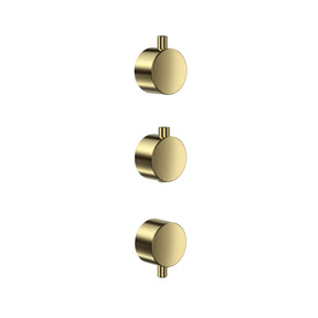 Scudo Concealed One Outlet Shower Valve with Brushed Brass Plate plain handles
