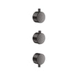 Scudo Concealed One Outlet Shower Valve with Gunmetal plain handles