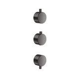 Scudo Concealed One Outlet Shower Valve with Gunmetal plain handles