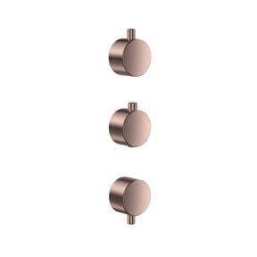 Scudo Concealed Two Outlet Shower Valve with Brushed Bronze Plate plain handles