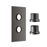 Scudo Concealed Two Outlet Shower Valve with Gunmetal Plate