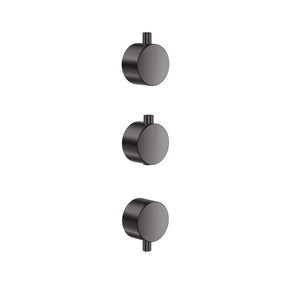Scudo Concealed Two Outlet Shower Valve with Gunmetal Plate plain handles