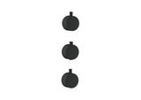 Scudo Concealed Two Outlet Shower Valve with Matt Black Plate plain handle
