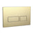 Scudo Rectangular Dual Flush Button Brushed Brass