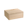 Shelph 600mm Wall Hung Drawer Unit davos oak