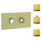 Cudore Concealed One Outlet Shower Valve with Horizontal Brushed Brass Plate