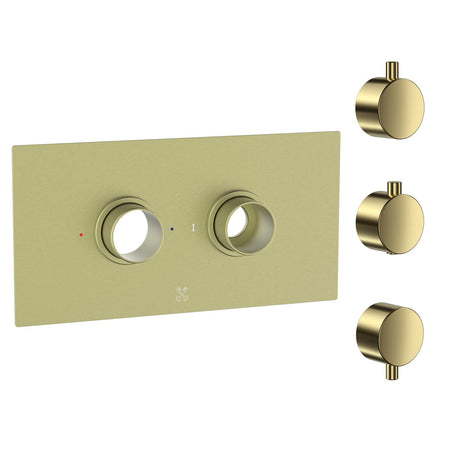 Cudore Concealed One Outlet Shower Valve with Horizontal Brushed Brass Plate