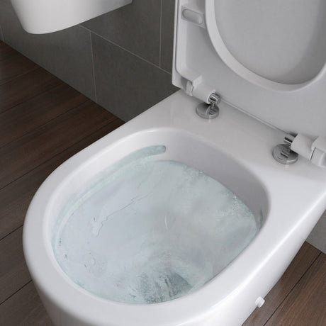 Ajax Caistor Back to Wall WC and Soft Close Seat close up